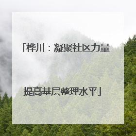桦川：凝聚社区力量 提高基层整理水平