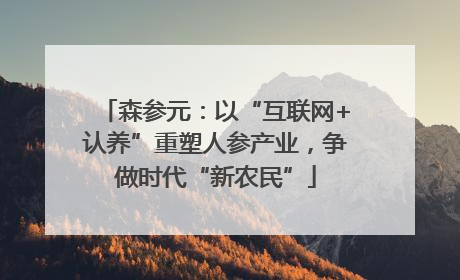 森参元：以“互联网+认养”重塑人参产业，争做时代“新农民”