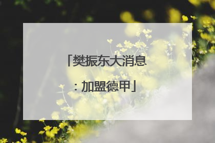 樊振东大消息：加盟德甲