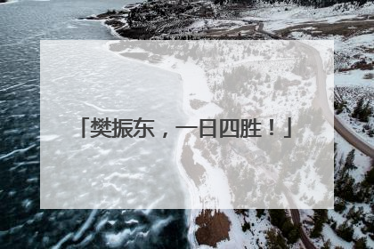 樊振东，一日四胜！