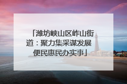 潍坊峡山区岞山街道：聚力集采谋发展 便民惠民办实事