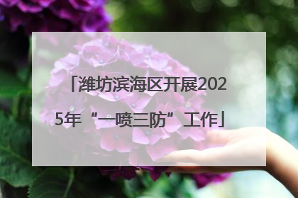 潍坊滨海区开展2025年“一喷三防”工作