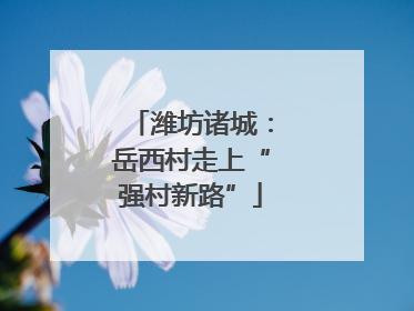 潍坊诸城：岳西村走上“强村新路”