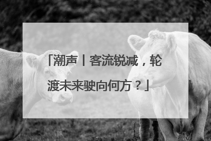 潮声丨客流锐减，轮渡未来驶向何方？