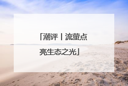 潮评丨流萤点亮生态之光