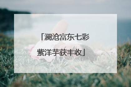 澜沧富东七彩紫洋芋获丰收