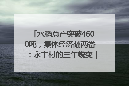 水稻总产突破4600吨，集体经济翻两番：永丰村的三年蜕变｜您牵挂的四川
