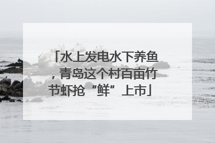 水上发电水下养鱼，青岛这个村百亩竹节虾抢“鲜”上市