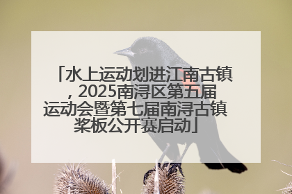 水上运动划进江南古镇，2025南浔区第五届运动会暨第七届南浔古镇桨板公开赛启动