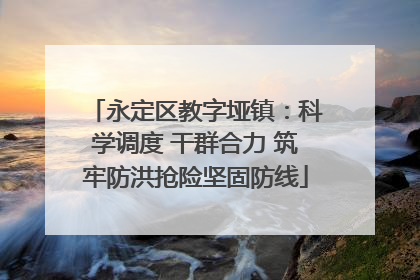 永定区教字垭镇：科学调度 干群合力 筑牢防洪抢险坚固防线
