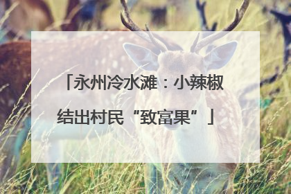 永州冷水滩：小辣椒结出村民“致富果”