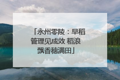 永州零陵：早稻管理见成效 稻浪飘香穗满田