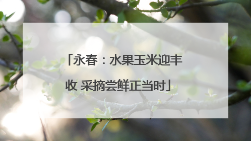 永春：水果玉米迎丰收 采摘尝鲜正当时