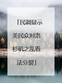 民调显示美民众对洛杉矶之乱看法分裂