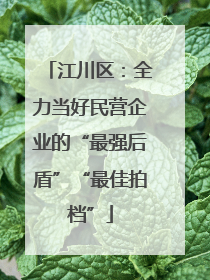 江川区：全力当好民营企业的“最强后盾”“最佳拍档”