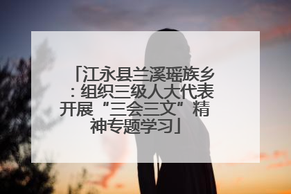 江永县兰溪瑶族乡：组织三级人大代表开展“三会三文”精神专题学习