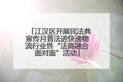 江汉区开展民法典宣传月普法进快递物流行业暨“法商融合面对面”活动