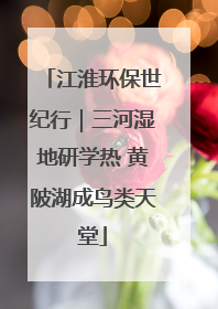 江淮环保世纪行｜三河湿地研学热 黄陂湖成鸟类天堂