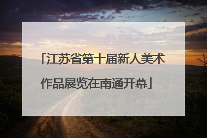 江苏省第十届新人美术作品展览在南通开幕