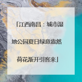江西南昌：城市湿地公园夏日绿意盎然 荷花渐开引客来