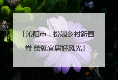 沁阳市：扮靓乡村新画卷 绘就宜居好风光