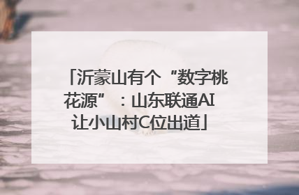 沂蒙山有个“数字桃花源”：山东联通AI让小山村C位出道