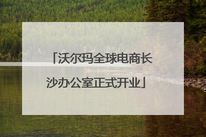 沃尔玛全球电商长沙办公室正式开业
