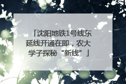 沈阳地铁1号线东延线开通在即，农大学子探秘“新线”