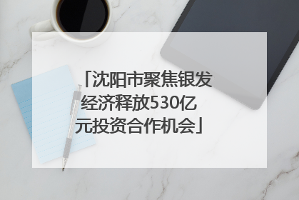 沈阳市聚焦银发经济释放530亿元投资合作机会