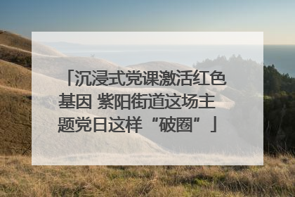 沉浸式党课激活红色基因 紫阳街道这场主题党日这样“破圈”