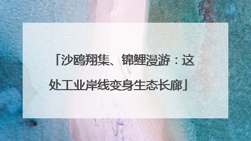 沙鸥翔集、锦鲤漫游：这处工业岸线变身生态长廊