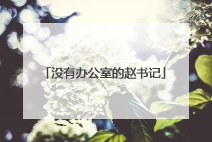 没有办公室的赵书记