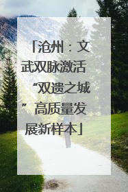 沧州：文武双脉激活“双遗之城”高质量发展新样本