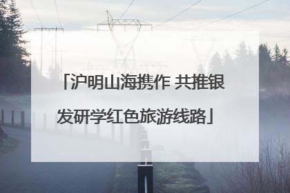 沪明山海携作 共推银发研学红色旅游线路