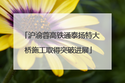 沪渝蓉高铁通泰扬特大桥施工取得突破进展