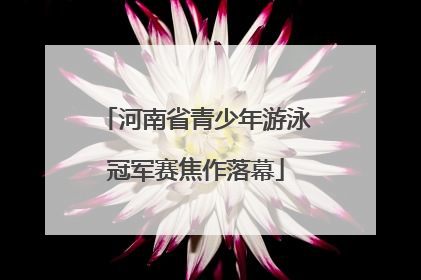 河南省青少年游泳冠军赛焦作落幕