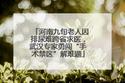 河南九旬老人因排尿难跨省求医，武汉专家勇闯“手术禁区”解难题