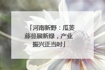 河南新野：瓜蒌藤蔓展新绿，产业振兴正当时