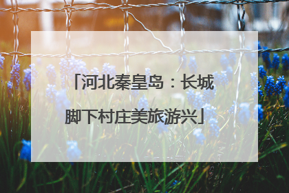 河北秦皇岛：长城脚下村庄美旅游兴