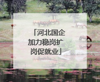 河北国企加力稳岗扩岗促就业