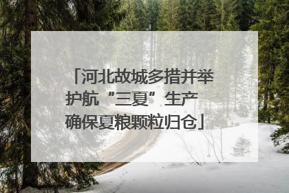 河北故城多措并举护航“三夏”生产 确保夏粮颗粒归仓