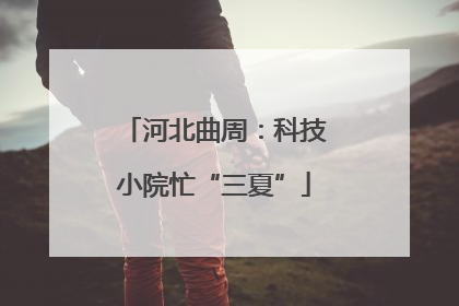 河北曲周：科技小院忙“三夏”