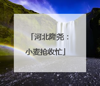 河北隆尧：小麦抢收忙