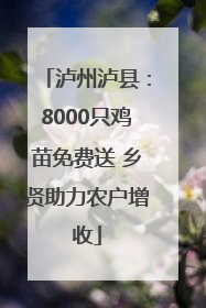 泸州泸县：8000只鸡苗免费送 乡贤助力农户增收