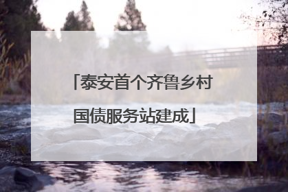 泰安首个齐鲁乡村国债服务站建成