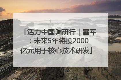 活力中国调研行｜雷军：未来5年将投2000亿元用于核心技术研发