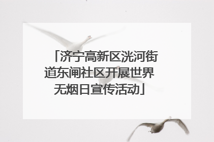 济宁高新区洸河街道东闸社区开展世界无烟日宣传活动
