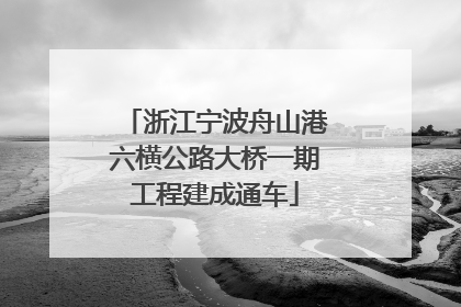 浙江宁波舟山港六横公路大桥一期工程建成通车