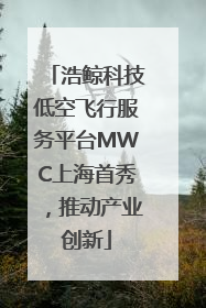 浩鲸科技低空飞行服务平台MWC上海首秀，推动产业创新