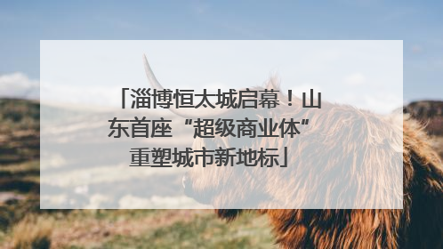 淄博恒太城启幕！山东首座“超级商业体”重塑城市新地标